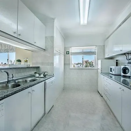 Palmeira Gale * 알부페이라