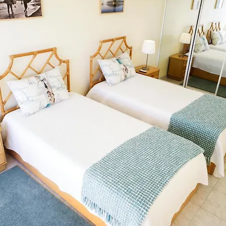 Palmeira Gale Daire *